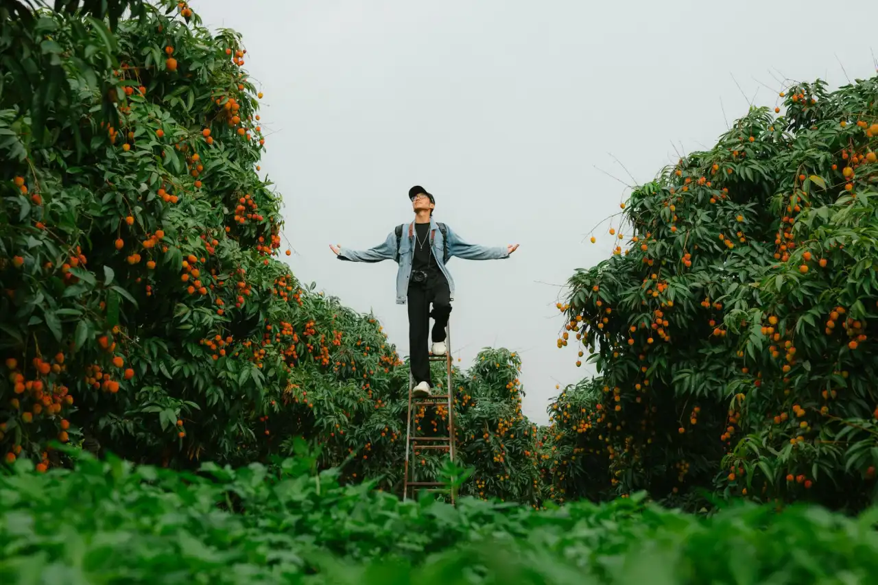 太阳能路灯与市电路灯对比:西南地区园林工程照明如何选择正文配图 1