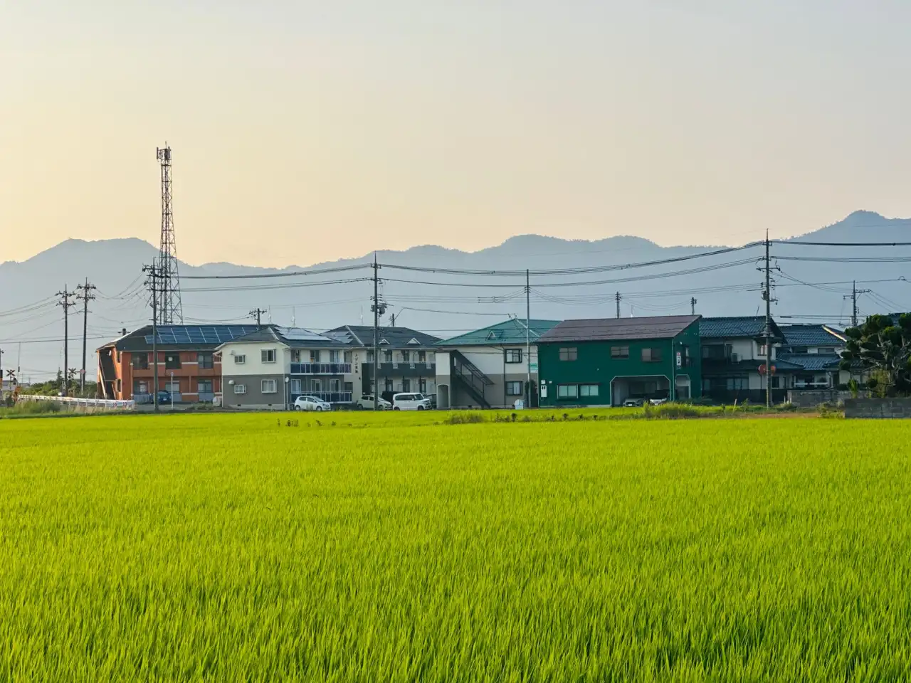 西南地区新农村建设太阳能路灯选型要点与成本分析正文配图 1